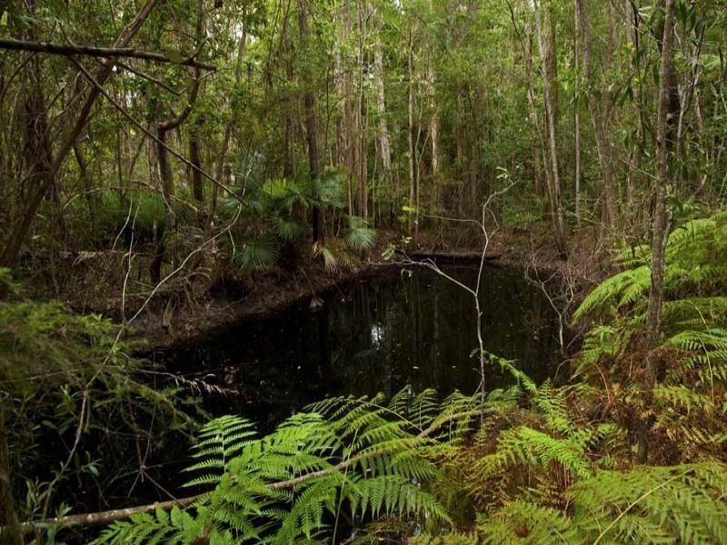 142 Winston Road, Palmwoods QLD 4555