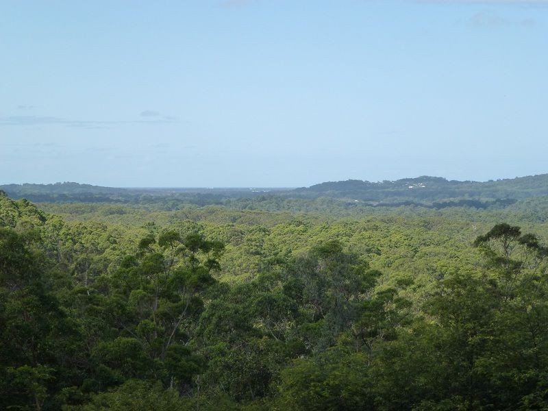 135 Citrus Road, Palmwoods QLD 4555