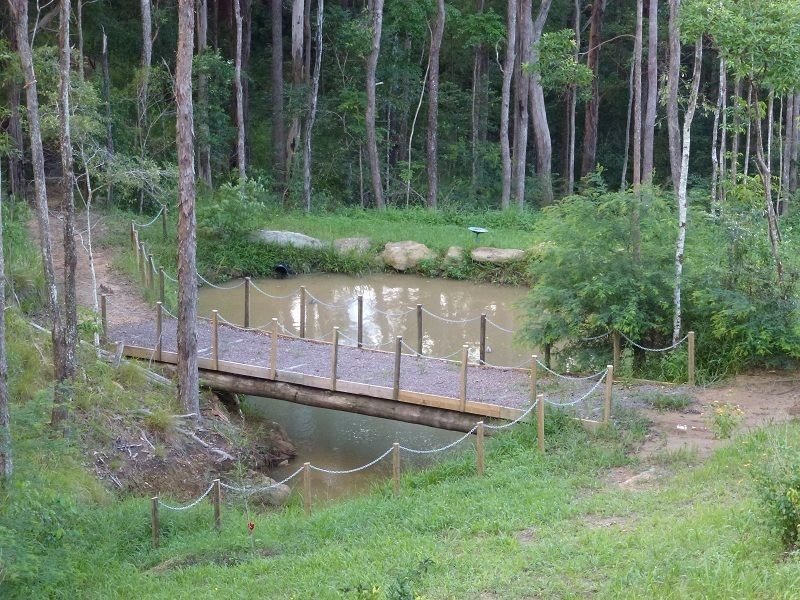 135 Citrus Road, Palmwoods QLD 4555