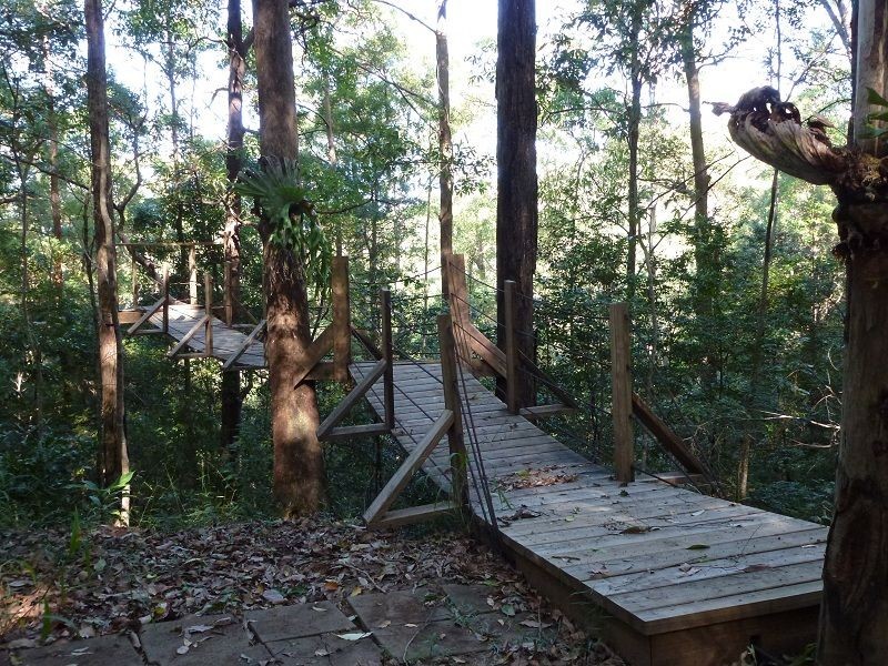 135 Citrus Road, Palmwoods QLD 4555