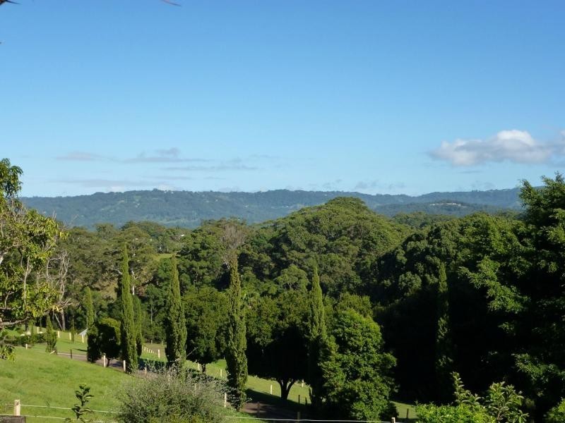 56 Winston Road, Palmwoods QLD 4555