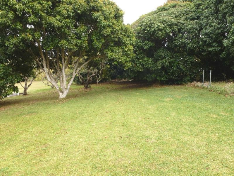 23 Lingara Avenue, Palmwoods QLD 4555