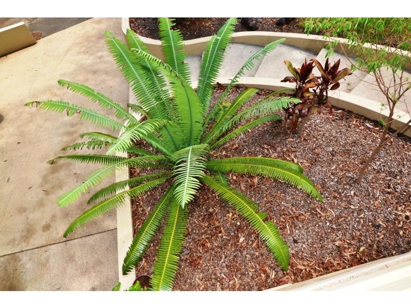 140 Shurvell Road, Palmwoods QLD 4555