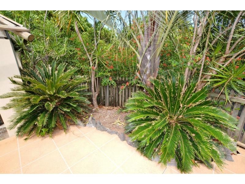 140 Shurvell Road, Palmwoods QLD 4555