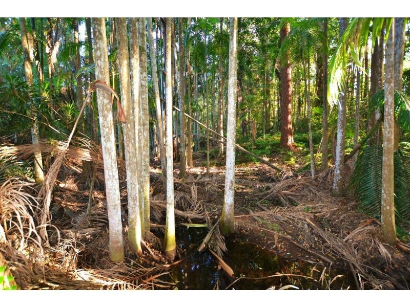 L2 CHEVALLUM Road, Palmwoods QLD 4555