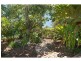 298 Western Avenue, Montville QLD 4560