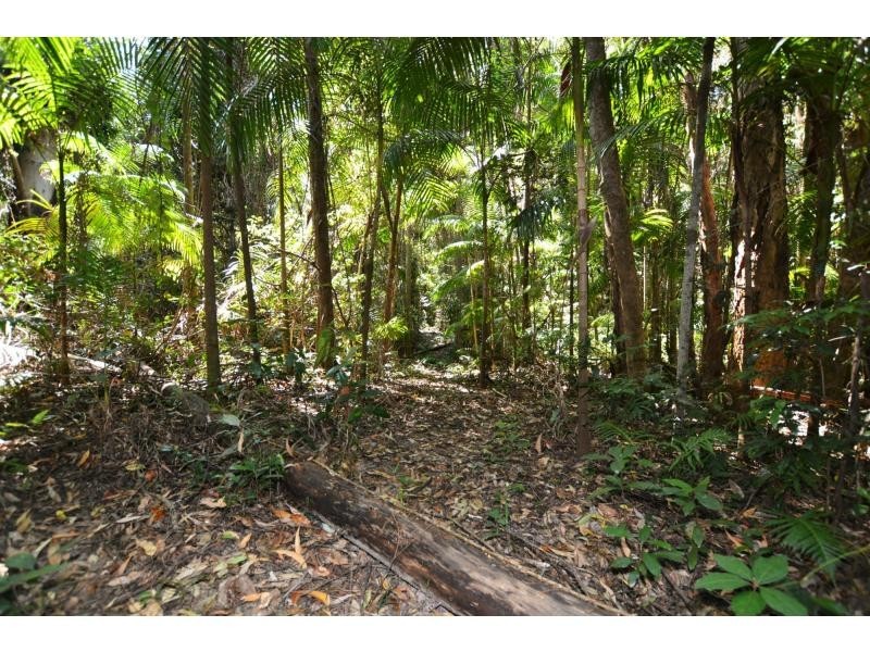 52 Atkinsons Road, Woombye QLD 4559