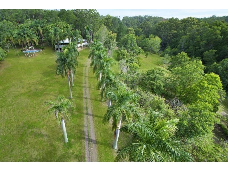 82 Roys Road, Palmwoods QLD 4555