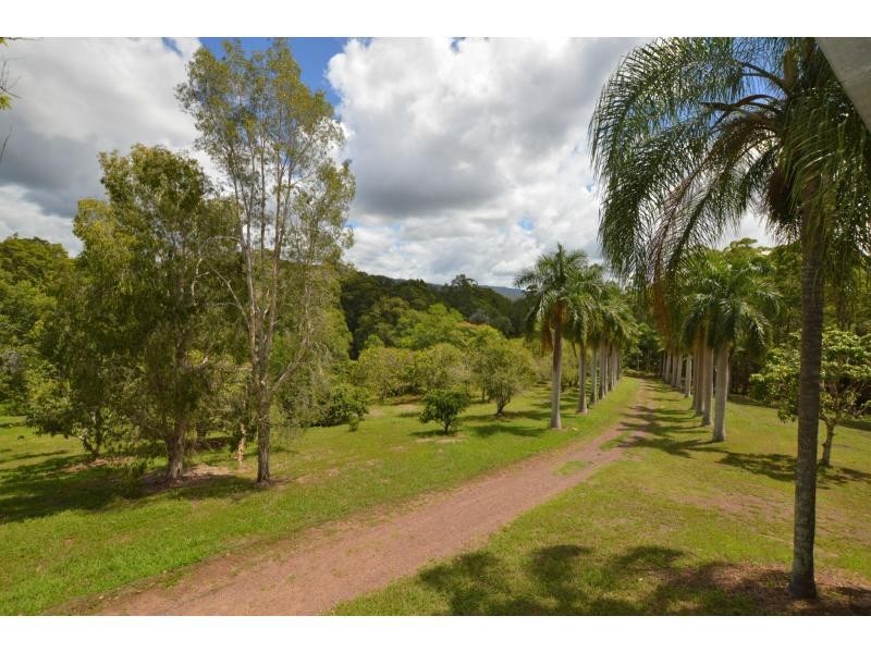 82 Roys Road, Palmwoods QLD 4555