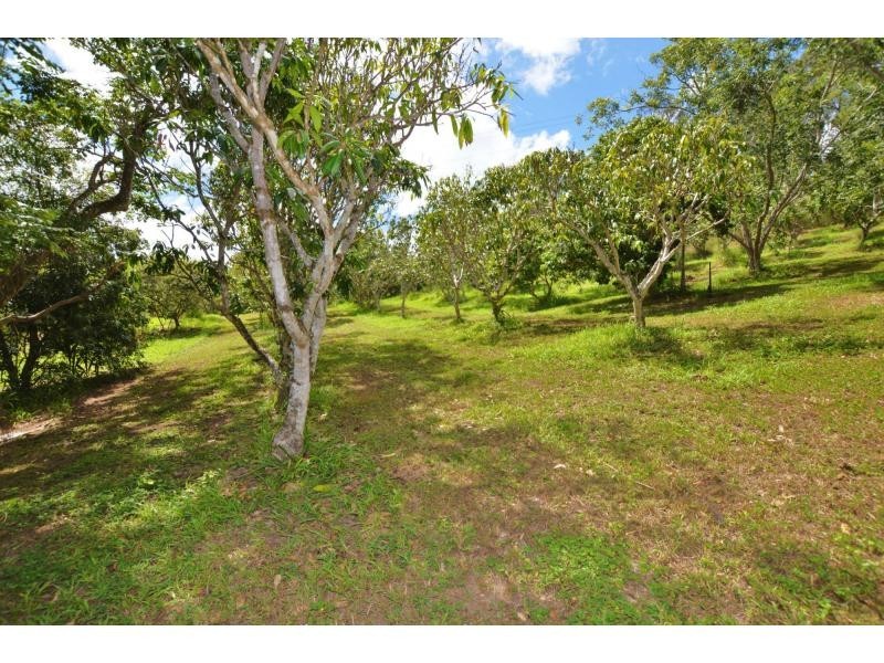 82 Roys Road, Palmwoods QLD 4555