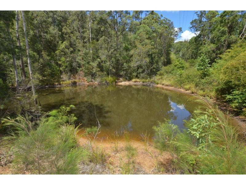82 Roys Road, Palmwoods QLD 4555