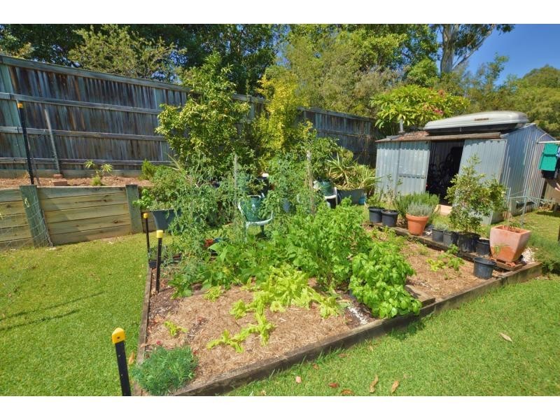 16 GALLOWS Place, PAYNTERS POCKET, Palmwoods QLD 4555