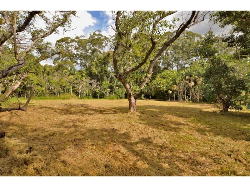 50 Chevallum Road, Palmwoods QLD 4555