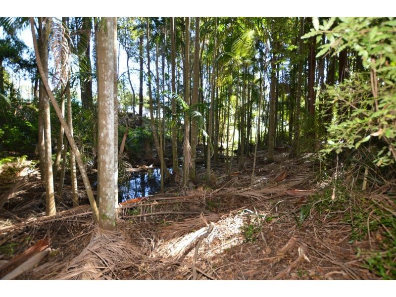50 Chevallum Road, Palmwoods QLD 4555