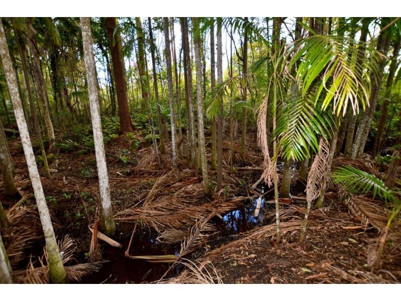 50 Chevallum Road, Palmwoods QLD 4555