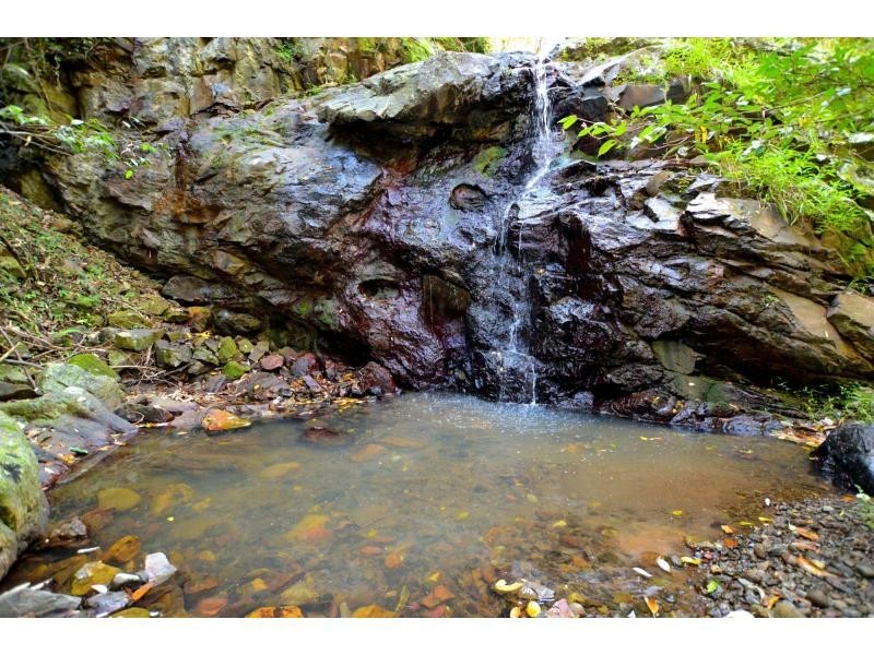 145 Kirbys Road, Montville QLD 4560