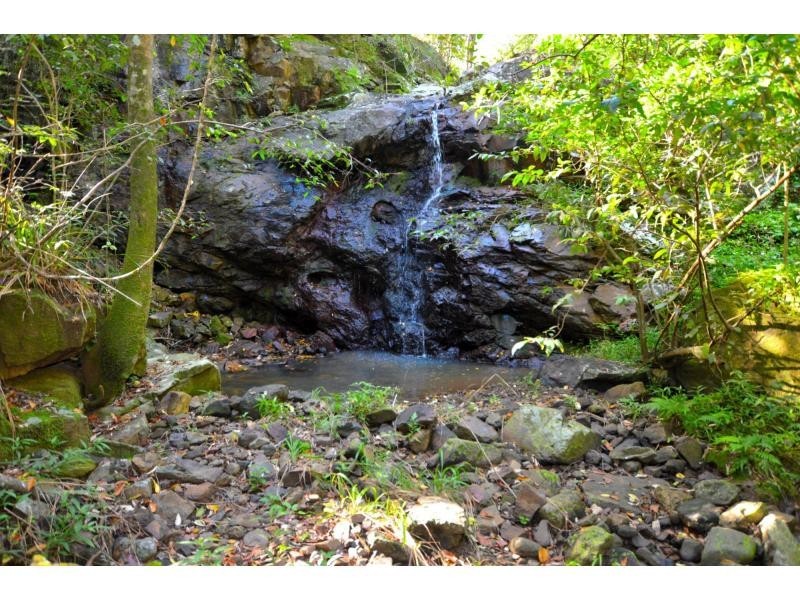 145 Kirbys Road, Montville QLD 4560