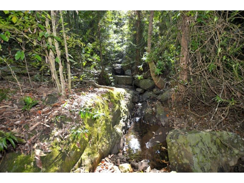 145 Kirbys Road, Montville QLD 4560