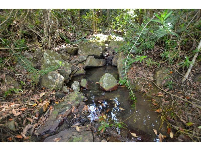 145 Kirbys Road, Montville QLD 4560