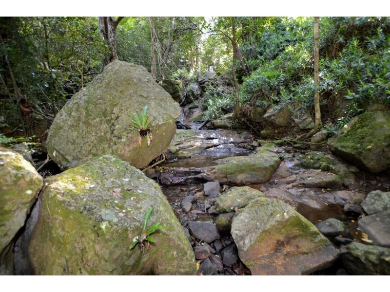 145 Kirbys Road, Montville QLD 4560