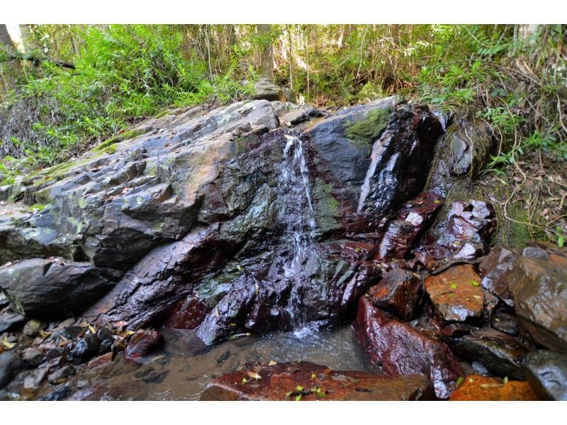 145 Kirbys Road, Montville QLD 4560