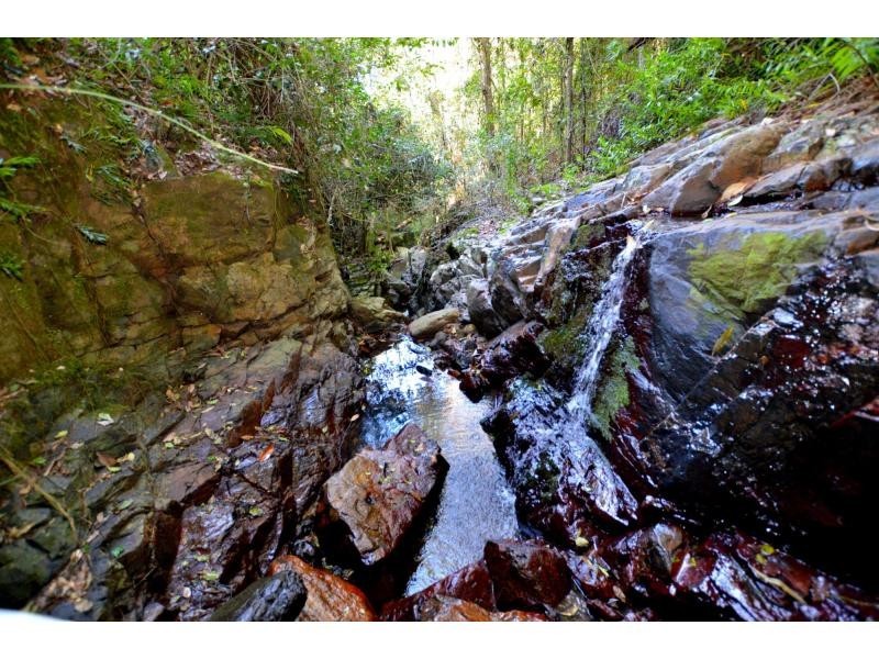 145 Kirbys Road, Montville QLD 4560