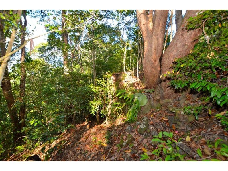 145 Kirbys Road, Montville QLD 4560