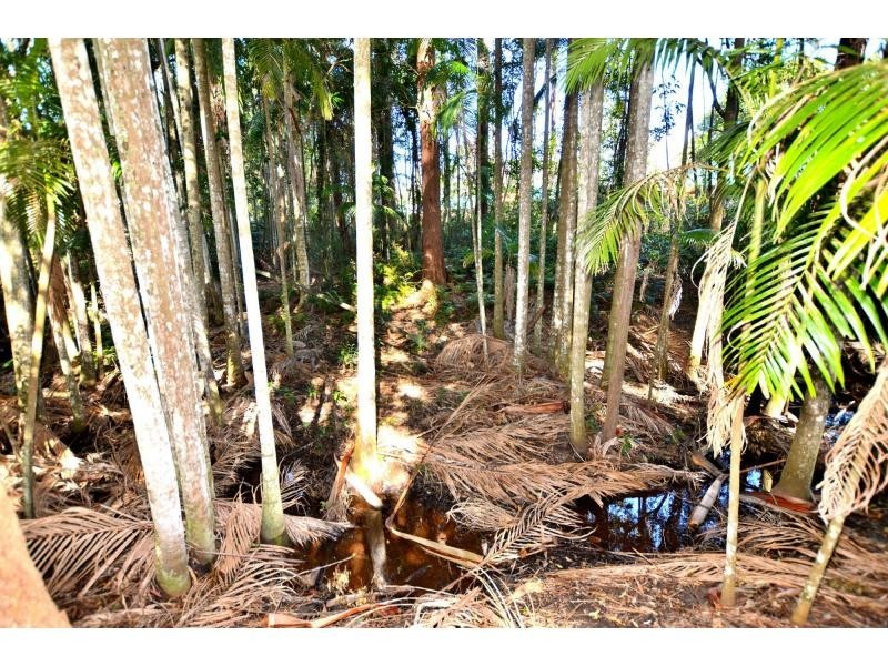 54 Chevallum Road, Palmwoods QLD 4555