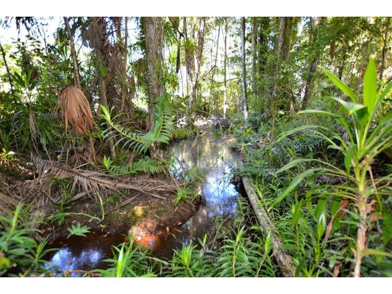 176 Wilson Road, Ilkley QLD 4554