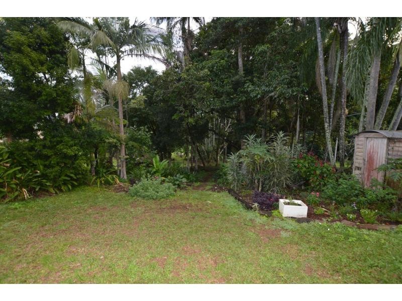 56 Chevallum Road, Palmwoods QLD 4555