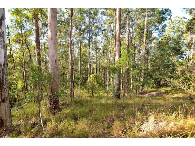 62 Rambert Road, Eudlo QLD 4554