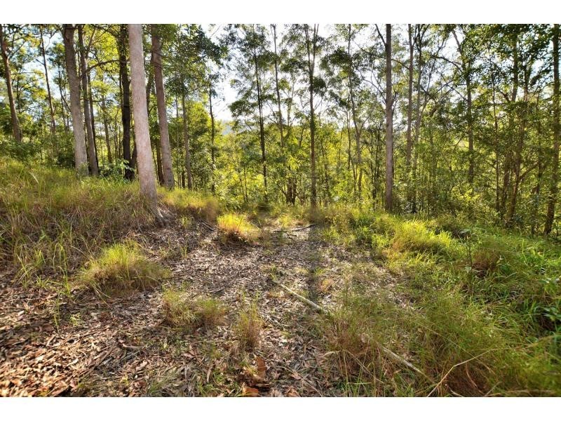 62 Rambert Road, Eudlo QLD 4554