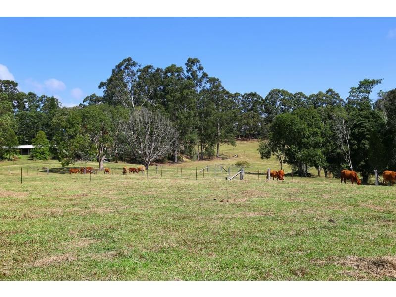 30 MacDonald Road, Palmwoods QLD 4555