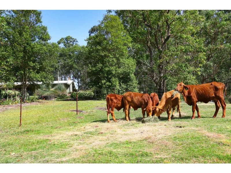 30 MacDonald Road, Palmwoods QLD 4555