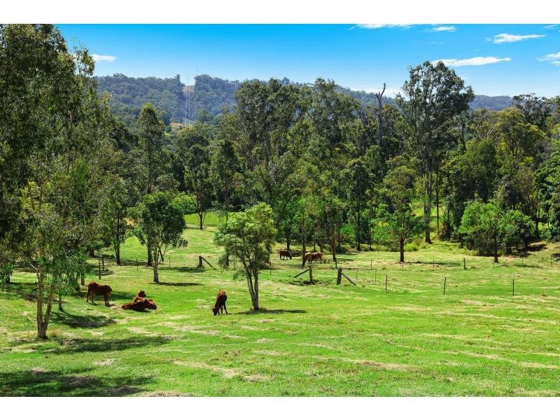 30 MacDonald Road, Palmwoods QLD 4555