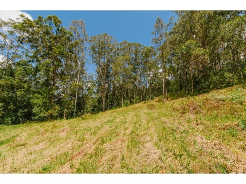 54 Gerrard Road, Eudlo QLD 4554