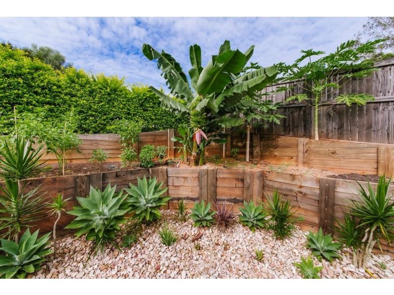 8 Kindal Court, OLD ORCHARD, Palmwoods QLD 4555