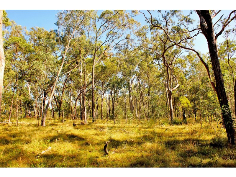 Lot 196 DAVIES Road, Captain Creek QLD 4677