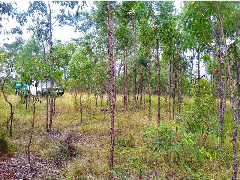 Lot 196 DAVIES Road, Captain Creek QLD 4677