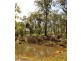 Lot 196 DAVIES Road, Captain Creek QLD 4677