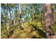 Lot 196 DAVIES Road, Captain Creek QLD 4677