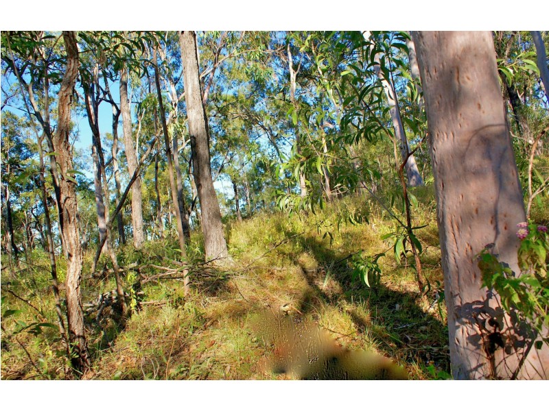 Lot 196 DAVIES Road, Captain Creek QLD 4677