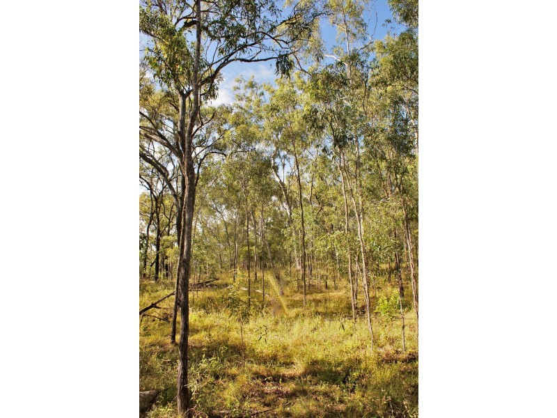 Lot 196 DAVIES Road, Captain Creek QLD 4677