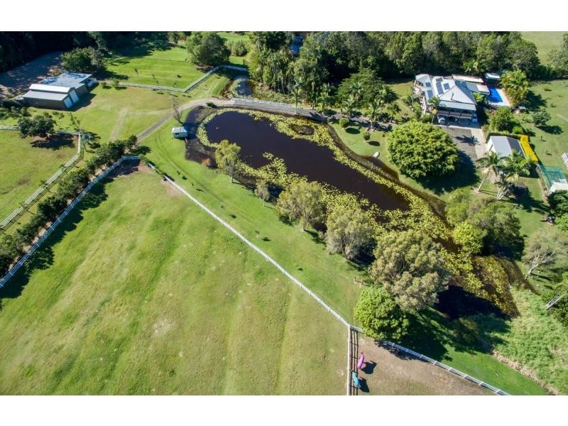 106 McKees Road, Palmwoods QLD 4555