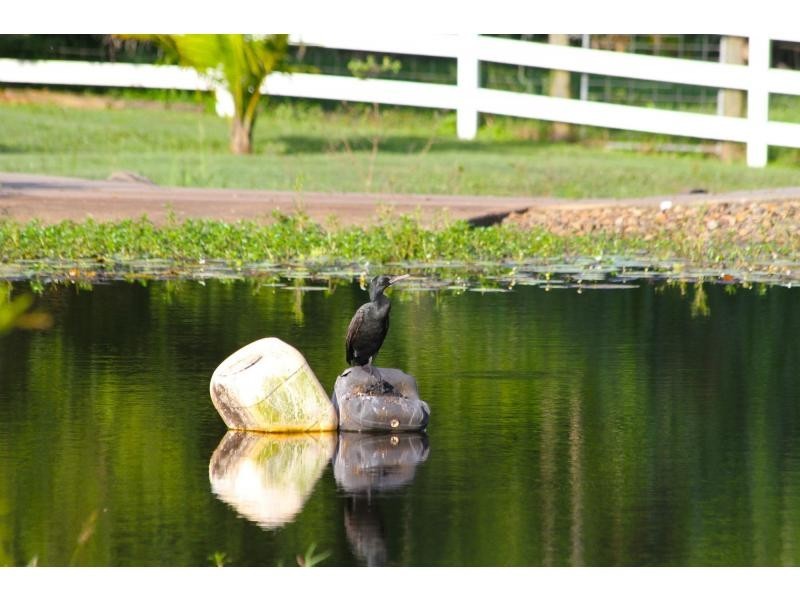106 McKees Road, Palmwoods QLD 4555