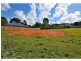 L4/23 Lingara Avenue, Palmwoods QLD 4555
