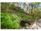 121 Mossy Bank Road, Eudlo QLD 4554