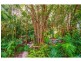 150 Palmwoods Montvi 150 Palmwoods Montvillee Road Road, Palmwoods, Palmwoods QLD 4555