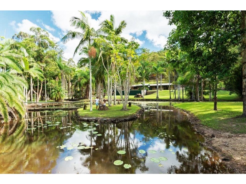 Yandina QLD 4561