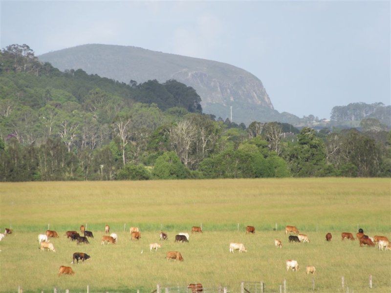 Maroochy River QLD 4561